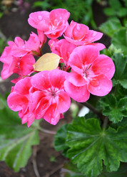 Similar image 21068887