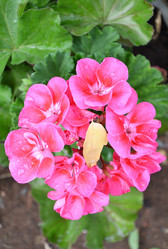 Similar image 21068888