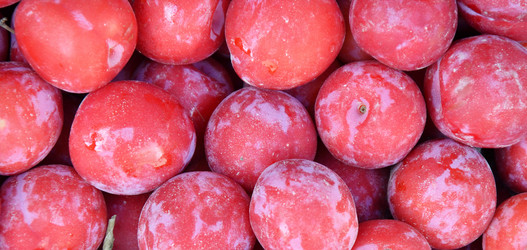 Similar image 21068889