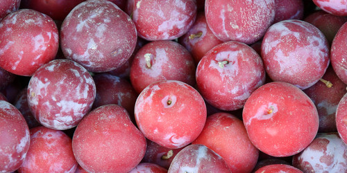 Similar image 21070102