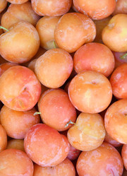 Similar image 21070103