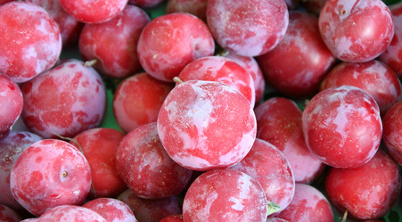 Similar image 21070104