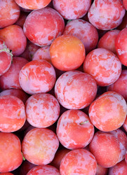 Similar image 21070105