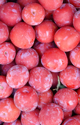 Similar image 21070108