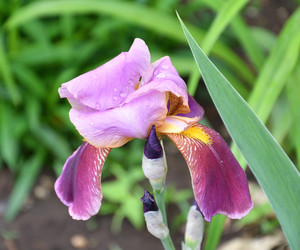 Similar image 21070109