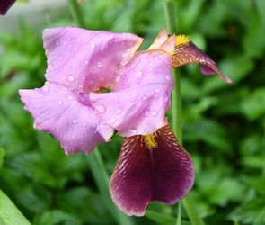 Similar image 21070111