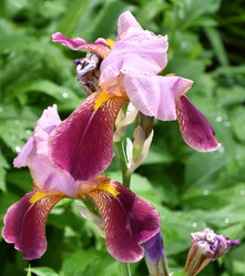 Similar image 21070112