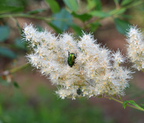 Similar image 21070114