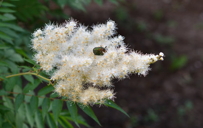 Similar image 21070115