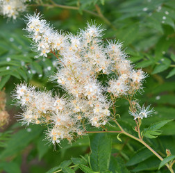 Similar image 21070116