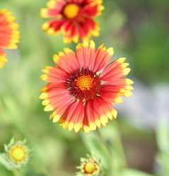 Similar image 21070118