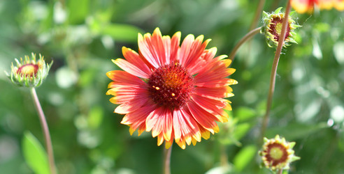 Similar image 21070120