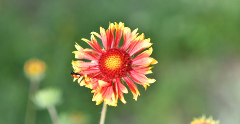 Similar image 21070121