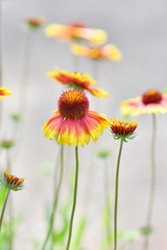 Similar image 21070123