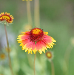 Similar image 21070125