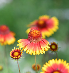 Similar image 21070126