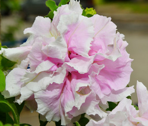 Similar image 21070128