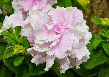 Similar image 21070130