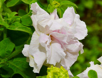 Similar image 21070135