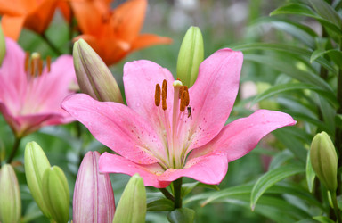 Similar image 21070136