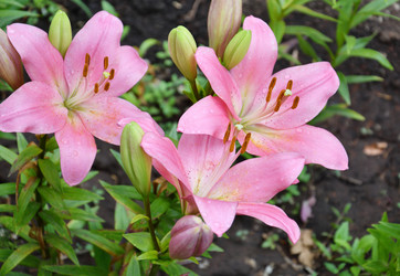 Similar image 21070138