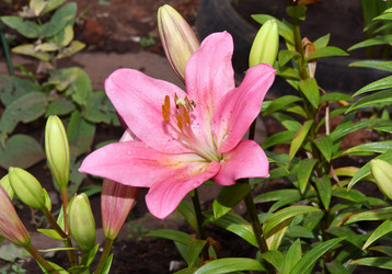 Similar image 21070139