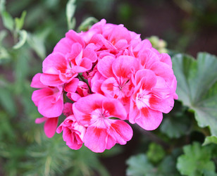 Similar image 21070141