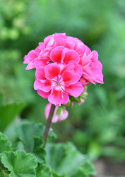 Similar image 21070142