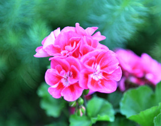 Similar image 21070143