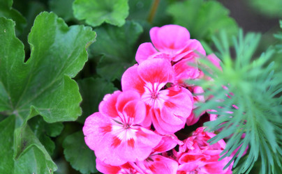 Similar image 21070144