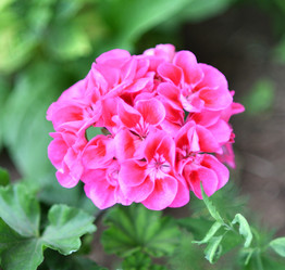 Similar image 21070145