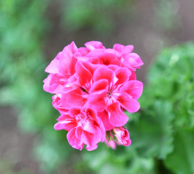 Similar image 21070146