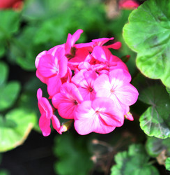 Similar image 21070147