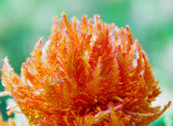 Similar image 21070148