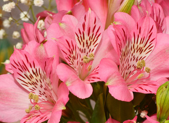 Similar image 21070150