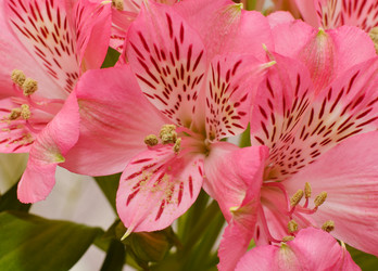 Similar image 21070152