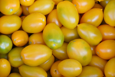 Similar image 21070153