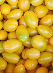 Similar image 21070157