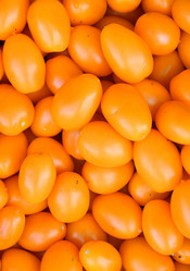 Similar image 21070159