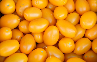 Similar image 21070161