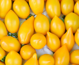 Similar image 21070163