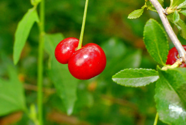 Similar image 21070322