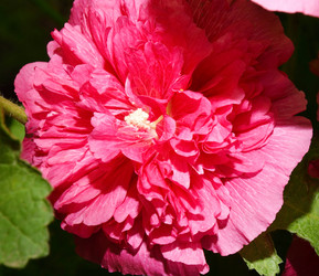 Similar image 21070325