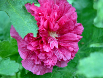 Similar image 21070331