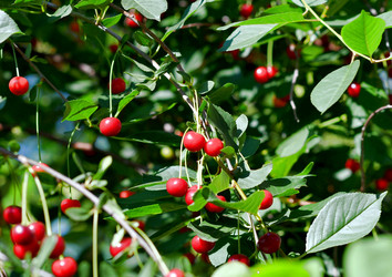 Similar image 21070332