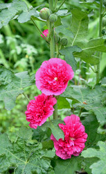 Similar image 21070334