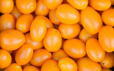 Similar image 21070336