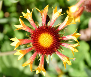 Similar image 21070338