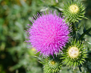 Similar image 21070437