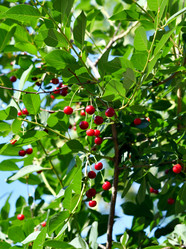 Similar image 21070438